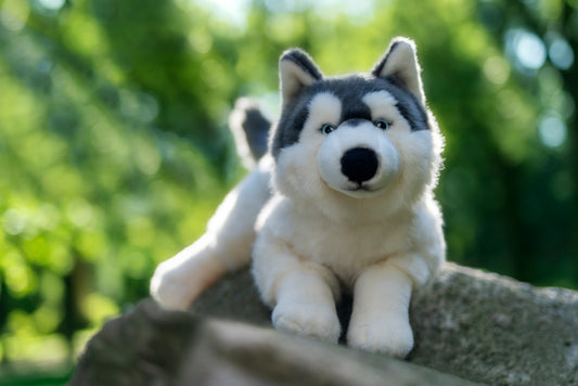 Teddy Hermann Husky Lying 60cm
