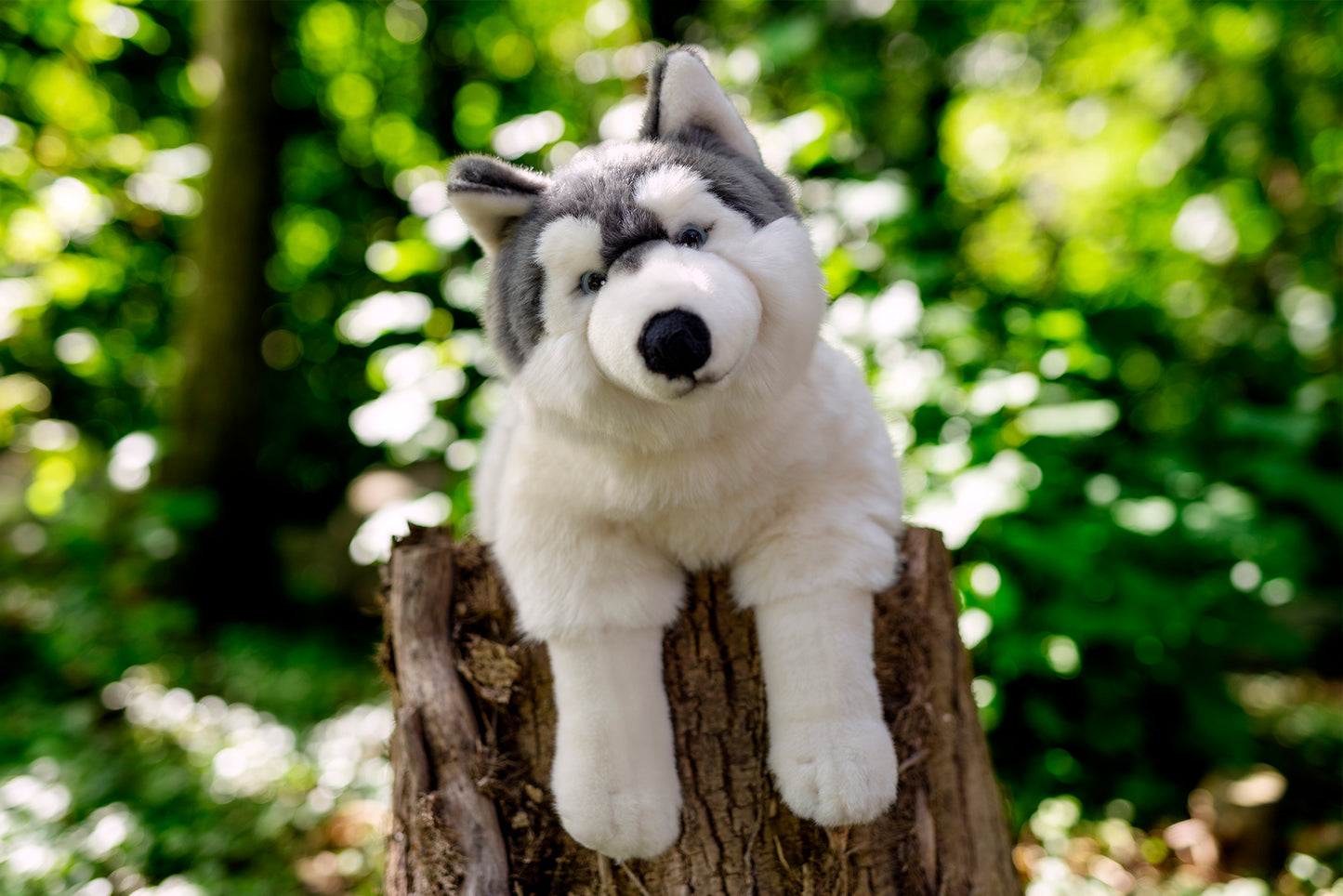 Hermann Teddy Husky Lying 60cm