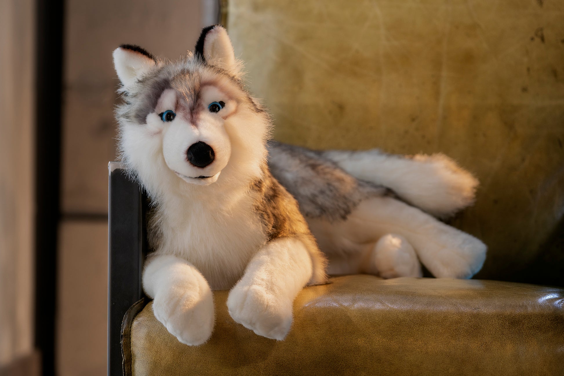 Semo Jumbo Husky – Little Husky Toys - Main Image