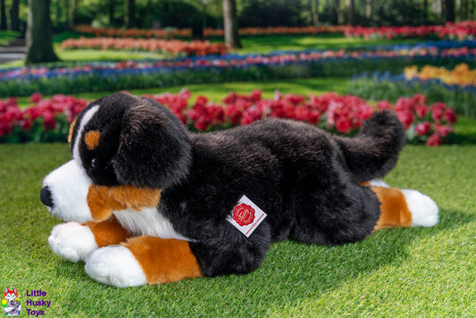 Teddy Hermann Bernese Mountain Dog Lying 60cm