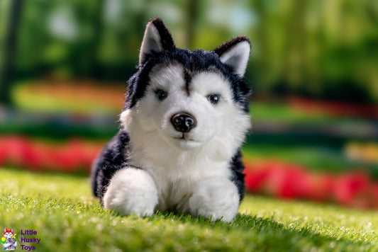 Uni-Toys Black Husky