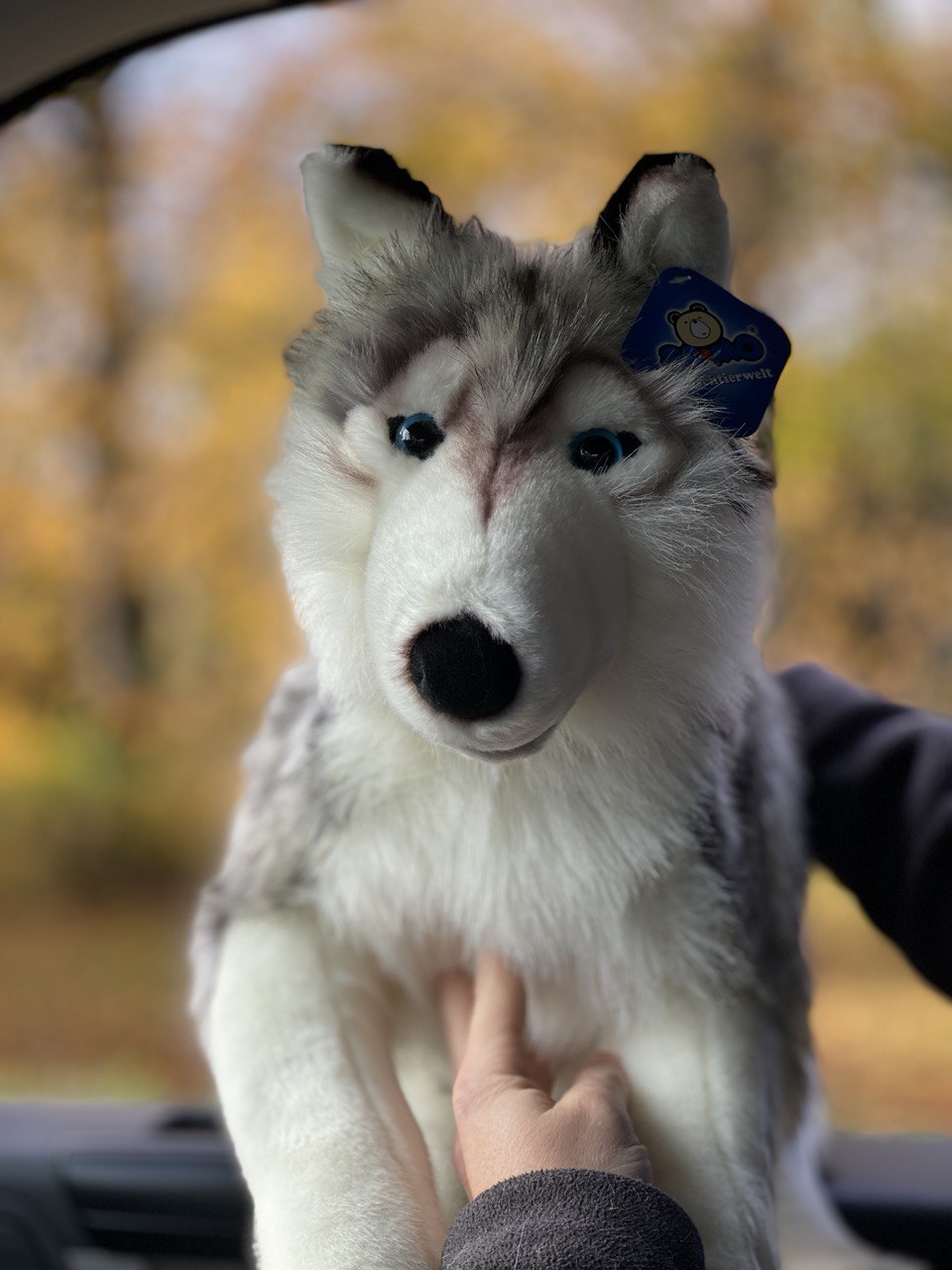 Semo Jumbo Husky